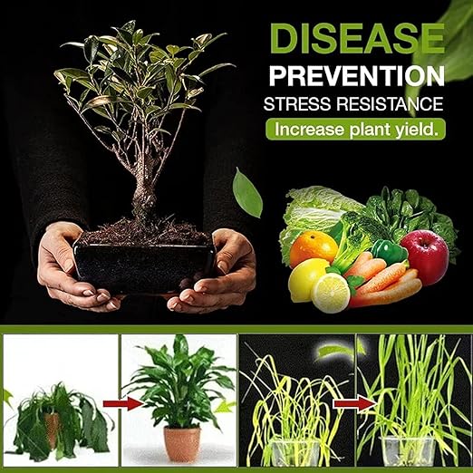 Soil Activated Treasure Fertilizer | Potting Mix Soil for Plants |