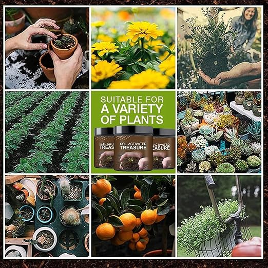 Soil Activated Treasure Fertilizer | Potting Mix Soil for Plants |